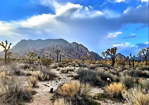 AI Video from prompt: the camera sweeps left revealing more of the sce