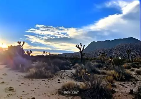 AI Video from prompt: the camera sweeps left revealing more of the sce