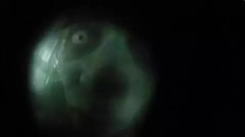 AI Video from prompt: Suddenly, a scary face appears in the peephole o