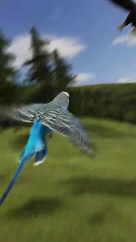 AI Video from prompt: A blue parrot fights with an eagle.