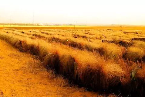 AI Video from prompt: kanwar yarri