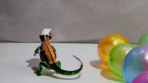 AI Video from prompt: A chameleon in a doctor's coat with balloons is 
