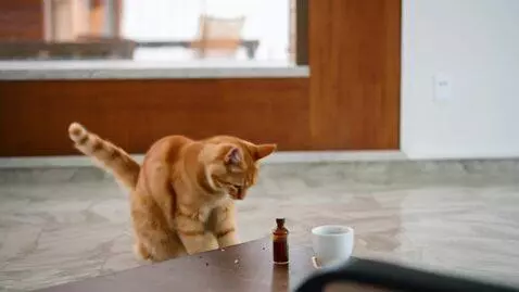 Hunyuan Video video