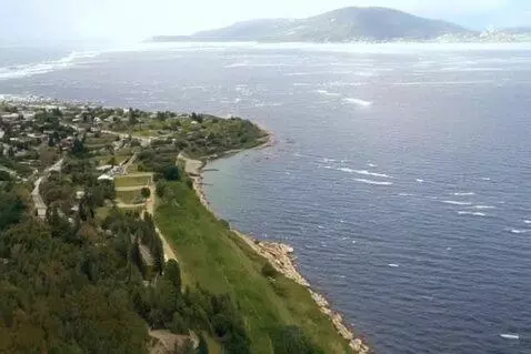 AI Video from prompt: великанша ходит по городу