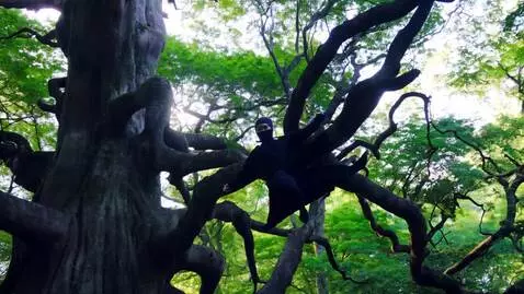 AI Video from prompt: A ninja jumping from a tree