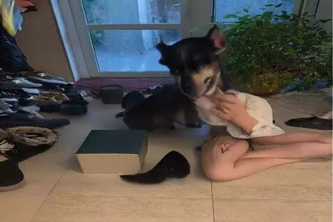 AI Video from prompt: the girl got up doggy style