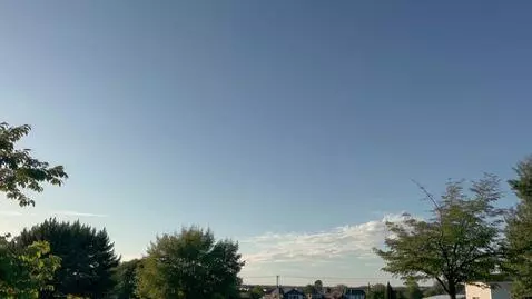 AI Video from prompt: The day is bright, it's bright and fair. Oh happ