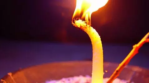 AI Video from prompt: {   "title": "Flame Rebirth",   "description": "