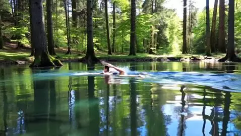 AI Video from prompt: A young girl smimming in a big fure