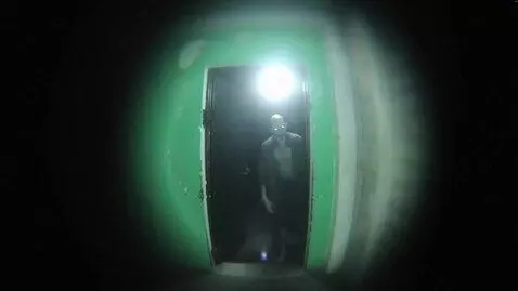 AI Video from prompt: A scary figure comes out of a dark door and move