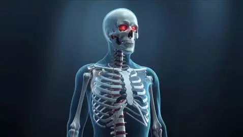 AI Video from prompt: Slow organic chest movement gradually slowing, t