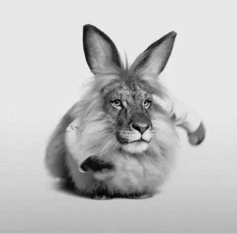 AI Video from prompt: Cinematic realistic video from a still image. Th