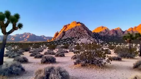 AI Video from prompt: the camera sweeps to the right revealing more of