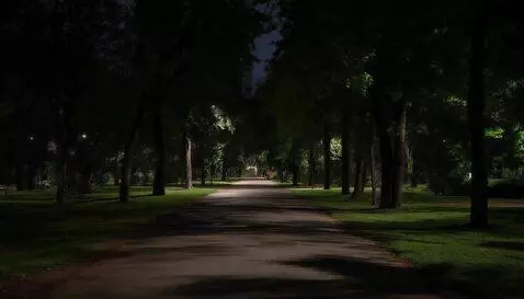 AI Video from prompt: The camera is stationary, it's getting light, mo