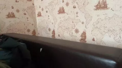 AI Video from prompt: A scary furry brownie slowly sticks out from beh