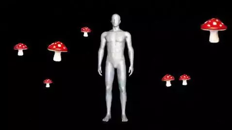 AI Video from prompt: an extremely chaotic ytpfr-styled video featurin