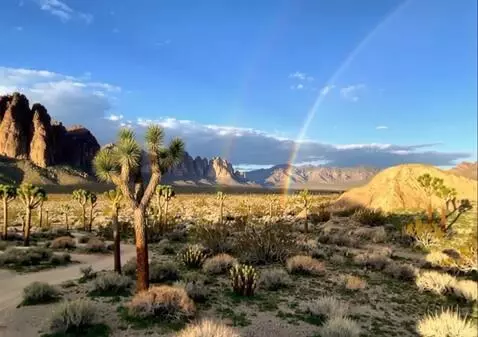 AI Video from prompt: the camera is mounted on a drone, it ascends to 