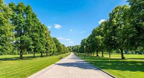 AI Video from prompt: A park with a wide straight road. The video star