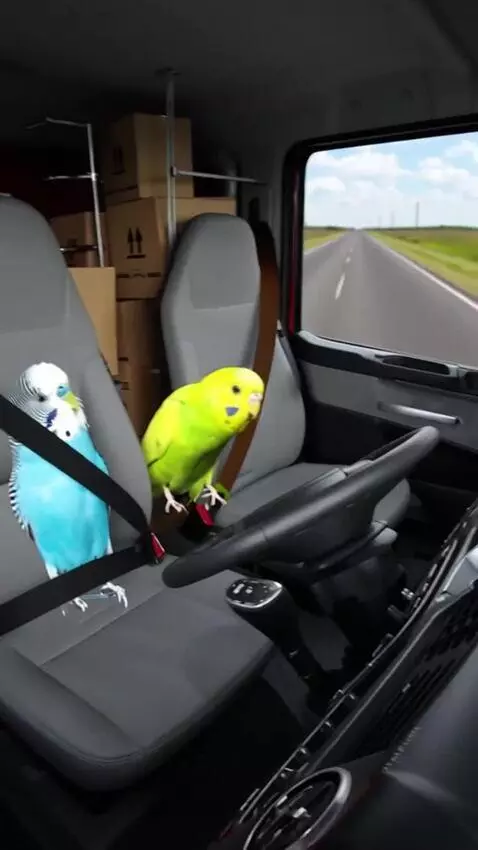 AI Video from prompt: These two parrots are driving a truck and carryi