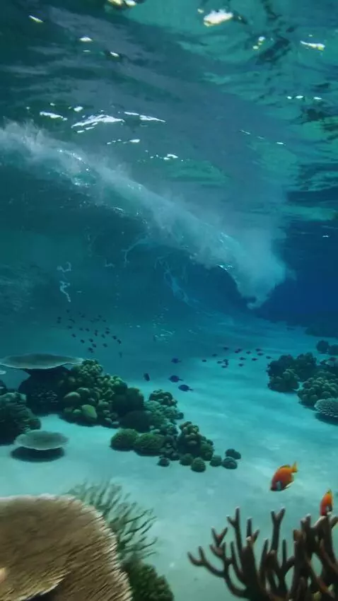 AI Video from prompt: The camera flies over the surface of the water; 