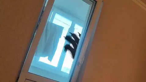 AI Video from prompt: To the right, a scary furry demon slowly sticks 