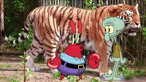 AI Video from prompt: An red crabs name mr. Krabs and big blue and pur