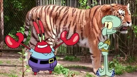 AI Video from prompt: Mr. Krabs Says "squidward. That's Absolutely Ama