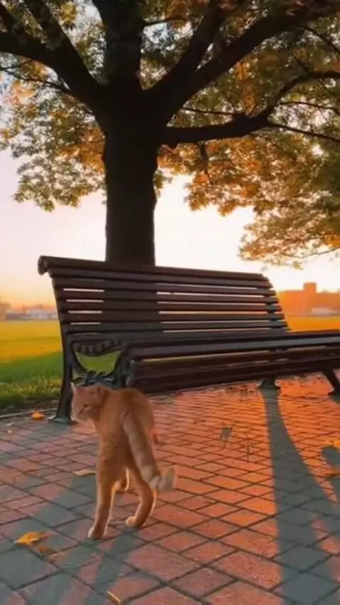 AI Video from prompt: Scene 1 — Morning Park  Visual: A quiet city par