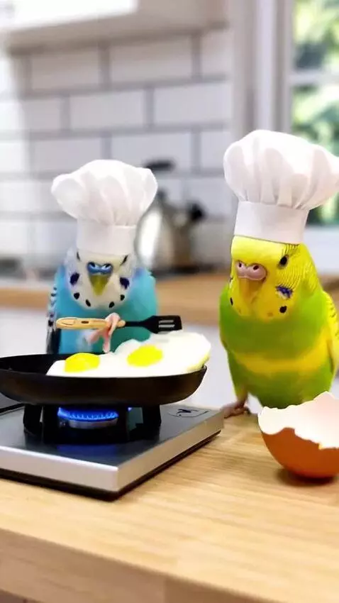 AI Video from prompt: These parrots cook eggs and they all speak Russi