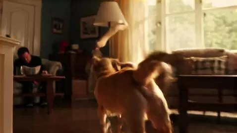 AI Video from prompt: You're a dog who just heard the word "walk," los