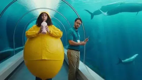 AI Video from prompt: Underwater shot, aquarium tunnel. A girl in a ra