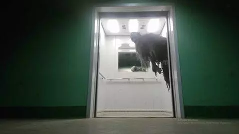 AI Video from prompt: A scary poltergeist climbs out of the elevator c