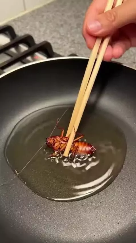 AI Video from prompt: A man at home catches a cockroach, then he puts 
