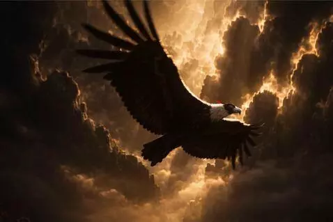AI Video from prompt: Cinematic drone follow shot of a majestic Andean