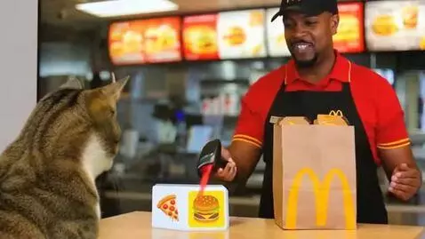 AI Video from prompt: Mcdonald owner scans the McDonald's order and me