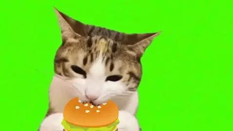 AI Video from prompt: First Meowl Eats a Burger. Second meowl eats Ben