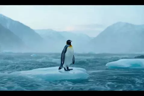 AI Video from prompt: A penguin with a red beak stands on an ice floe 