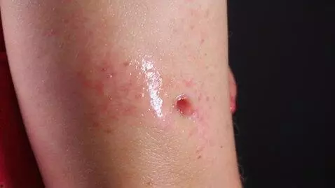 Kling 1.0 (standard) video