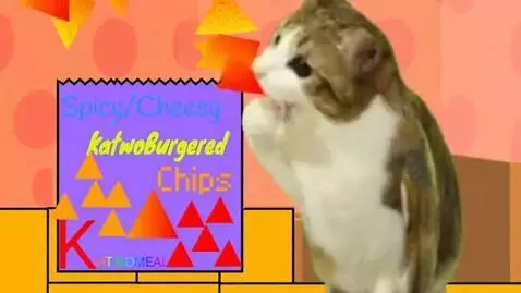 AI Video from prompt: Meowl eats Spicy or Cheesy KatwoBurgered Chips