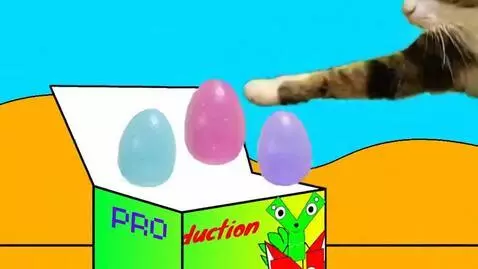 AI Video from prompt: Meowl Eats PROduction Lactic Acided Mistery Eggs