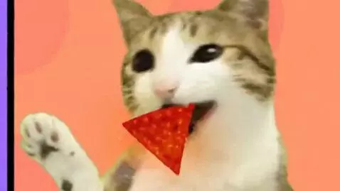 AI Video from prompt: Meowl eats hell or sweet katwoburgered chips