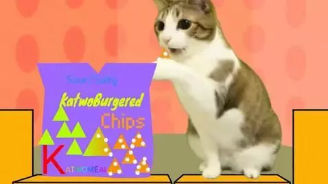 AI Video from prompt: Meowl eats sour or salty katwoburgered chips