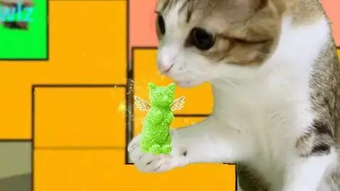 AI Video from prompt: Meowl eats FlyMeowls Cirtic and malic acided hea