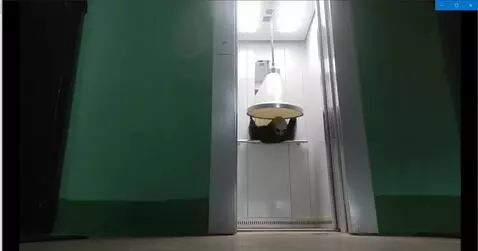 AI Video from prompt: A terrifying spirit begins to climb out of the e