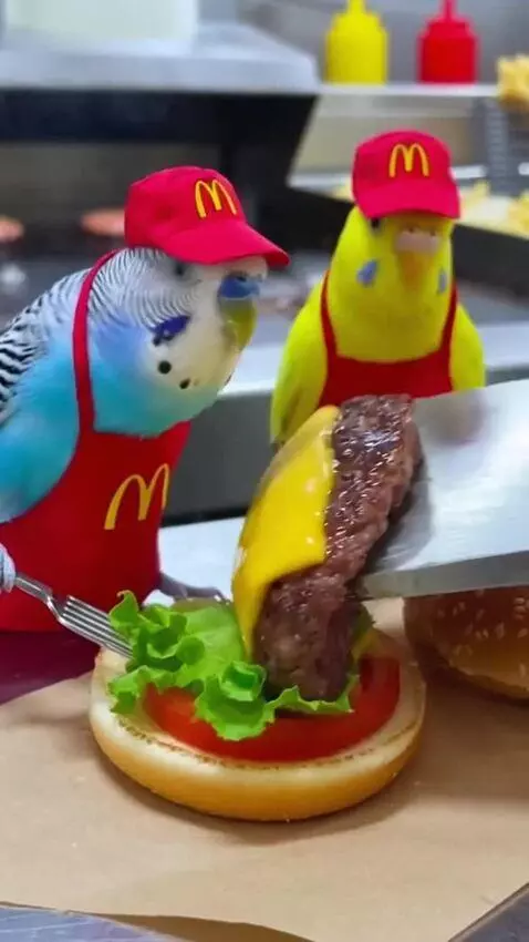 AI Video from prompt: These two parrots work at McDonald's, they prepa