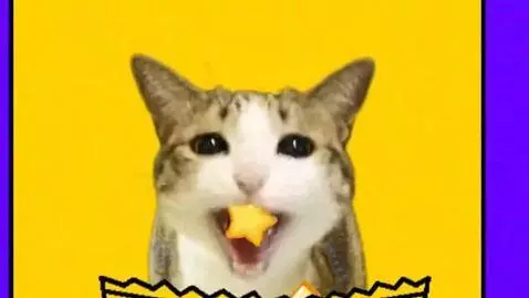 AI Video from prompt: Meowl Eats PROduction ChipKats Heaven Chips