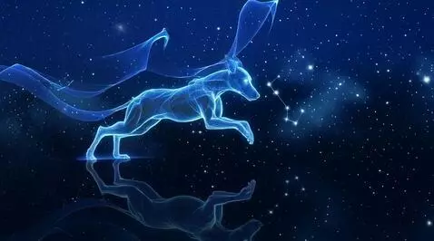 AI Video from prompt: LET THE DOG RUN