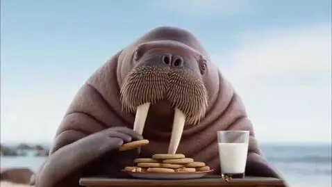 AI Video from prompt: Walrus Eating Cookies And Drink Milk