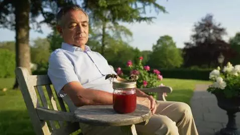 AI Video from prompt: A man is sitting on a garden bench, next to a ja