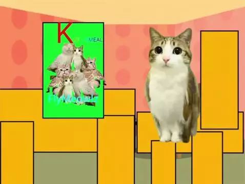 Vidu video